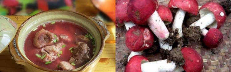 Nhìn tưởng nấm độc, thực chất là thuốc bổ tự nhiên giá bạc triệu/kg-2