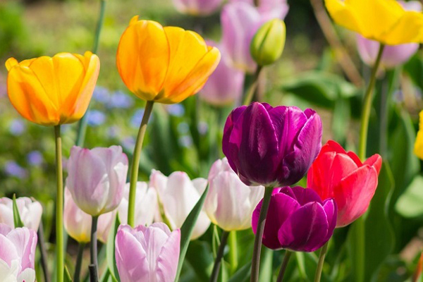 Người có nốt ruồi ở vị trí này được Trời Phật phù hộ, cả đời sung túc, may mắn-5