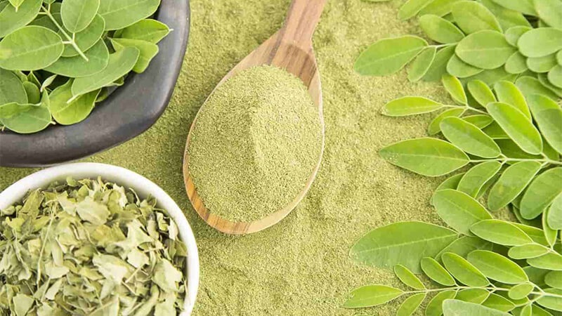 Gợi ý 3 món ngon có vị chùm ngây thơm lừng, đẹp mắt, lạ miệng, dễ làm-1