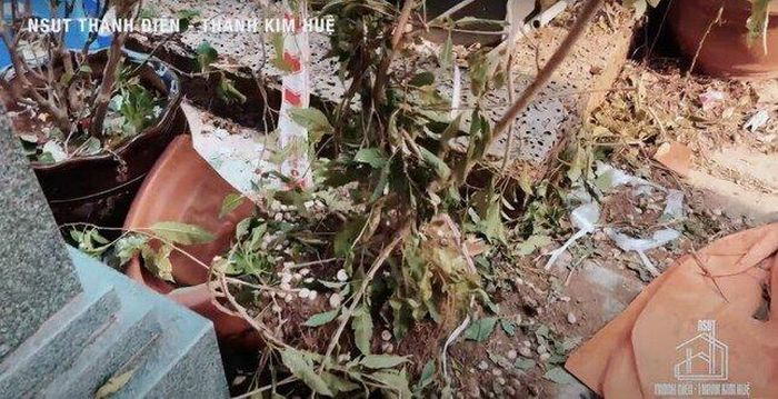 Phẫn nộ hình ảnh phản cảm, vô tâm ở đám tang NSƯT Vũ Linh-2