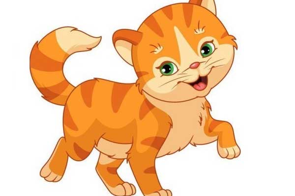 Tử vi tuần mới 13/3-19/3: Mão có quý nhân chỉ lối dẫn đường, Tuất vì cố chấp mà mất tiền-2