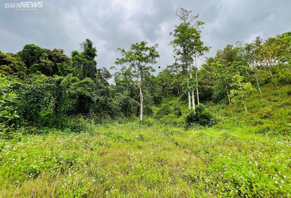 Dự án công viên chậm triển khai, con nghiện tụ tập chơi ma túy-3