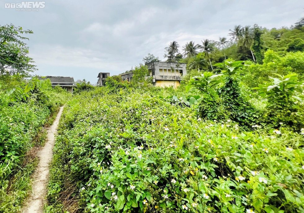 Dự án công viên chậm triển khai, con nghiện tụ tập chơi ma túy-8