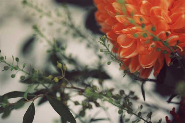 Tuần mới từ 13/3, 3 con giáp có tài lộc nhân đôi, thăng tiến như mong đợi-2