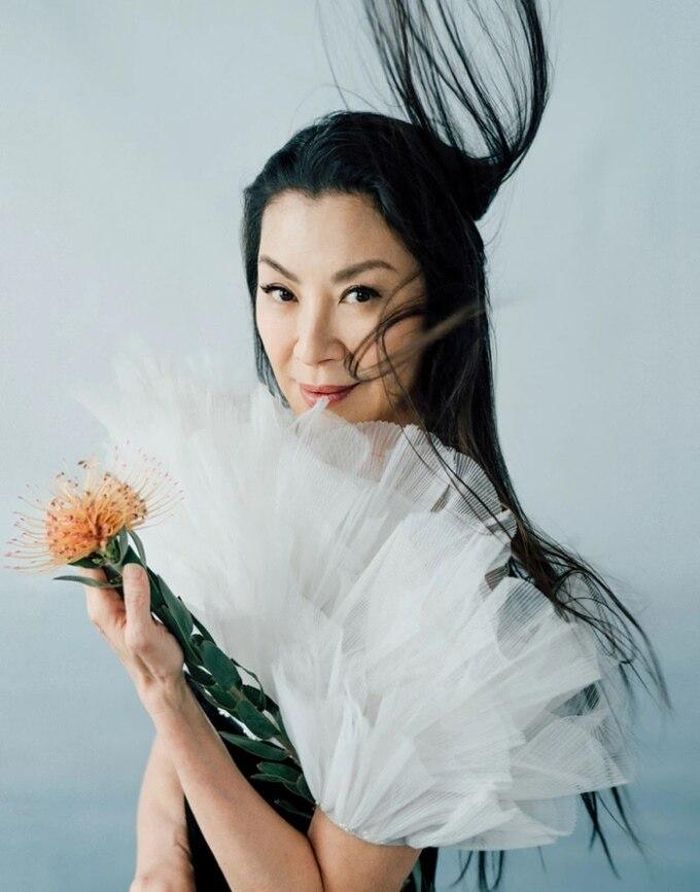 Dương Tử Quỳnh: Sự nghiệp chói lọi, cuộc sống hạnh phúc bên chồng tỷ phú-1
