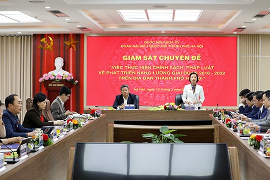 Giám sát chuyên đề việc thực hiện chính sách, pháp luật về phát triển năng lượng, giai đoạn 2016 - 2021, trên địa bàn Thành phố