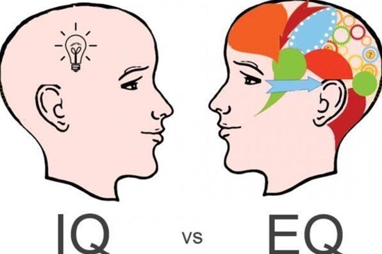 Giáo sư nổi tiếng nói: Trẻ có EQ thấp cha mẹ nên uốn nắn con càng sớm càng tốt