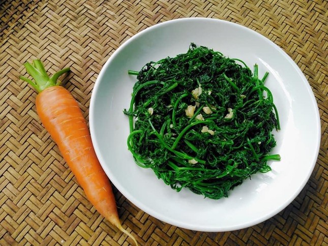 Mầm, lá các loại rau củ trước bỏ đi nay thành đặc sản đắt đỏ-4