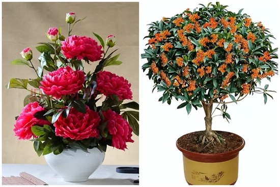 Người xưa dặn: 
