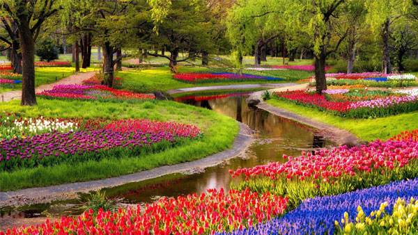 Người sinh ngày Âm lịch này nỗ lực không ngừng, sự nghiệp lạc quan, tương lai xán lạn-3