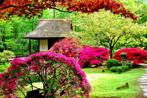 5 con giáp không có nhu cầu yêu đương, chỉ muốn tập trung kiếm tiền-6