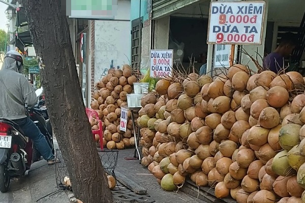 Dừa tươi đang rẻ, mua về vừa giải khát vừa tẩm bổ nhưng lưu ý có bệnh này thì đừng uống-1