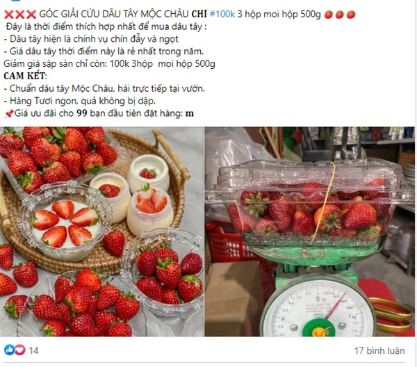 Giá dâu tây đang rẻ, chị em nên tận dụng ăn để khỏe đẹp-3