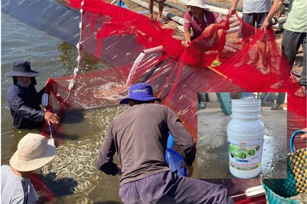 Thực hư câu chuyện người đàn ông bị vợ con cướp nhà sau ly hôn-4