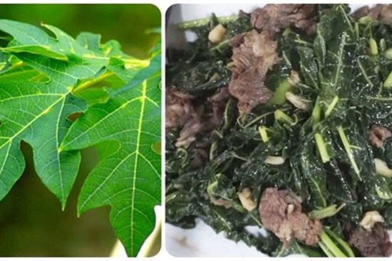Lá đu đủ xào tỏi có tác dụng gì?