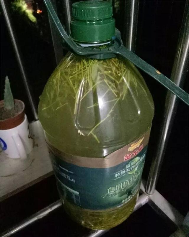 Cắm đũa vào chậu cây cảnh giải quyết 5 vấn đề lớn trong trồng hoa, người tay mới thường không biết-10