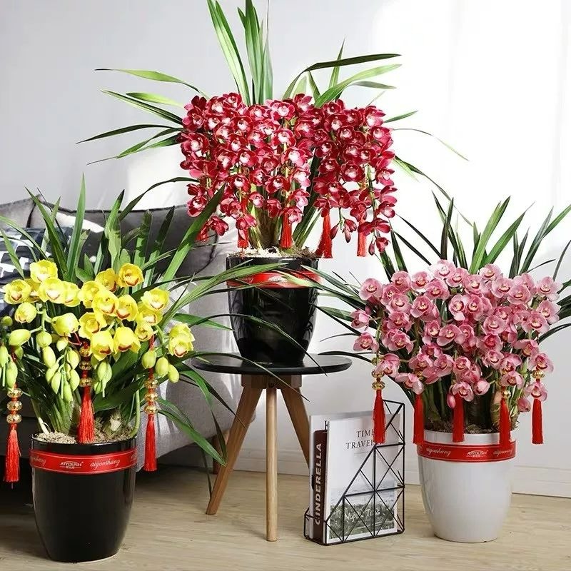 Cắm đũa vào chậu cây cảnh giải quyết 5 vấn đề lớn trong trồng hoa, người tay mới thường không biết-9