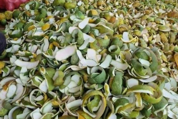 Thứ vứt đi bất ngờ được thương lái tìm mua, có bao nhiêu cũng lấy hết-1