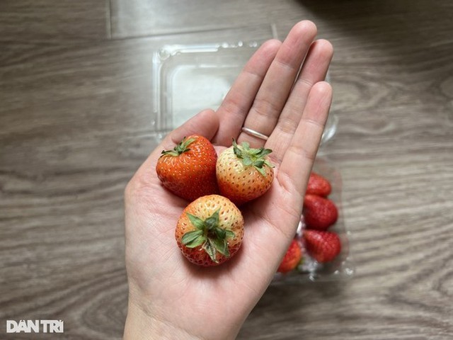 Sự thật dâu tây Sơn La giá rẻ tràn ngập chợ: Chị bán hàng tiết lộ chiêu nhận biết dâu chuẩn, xịn-4