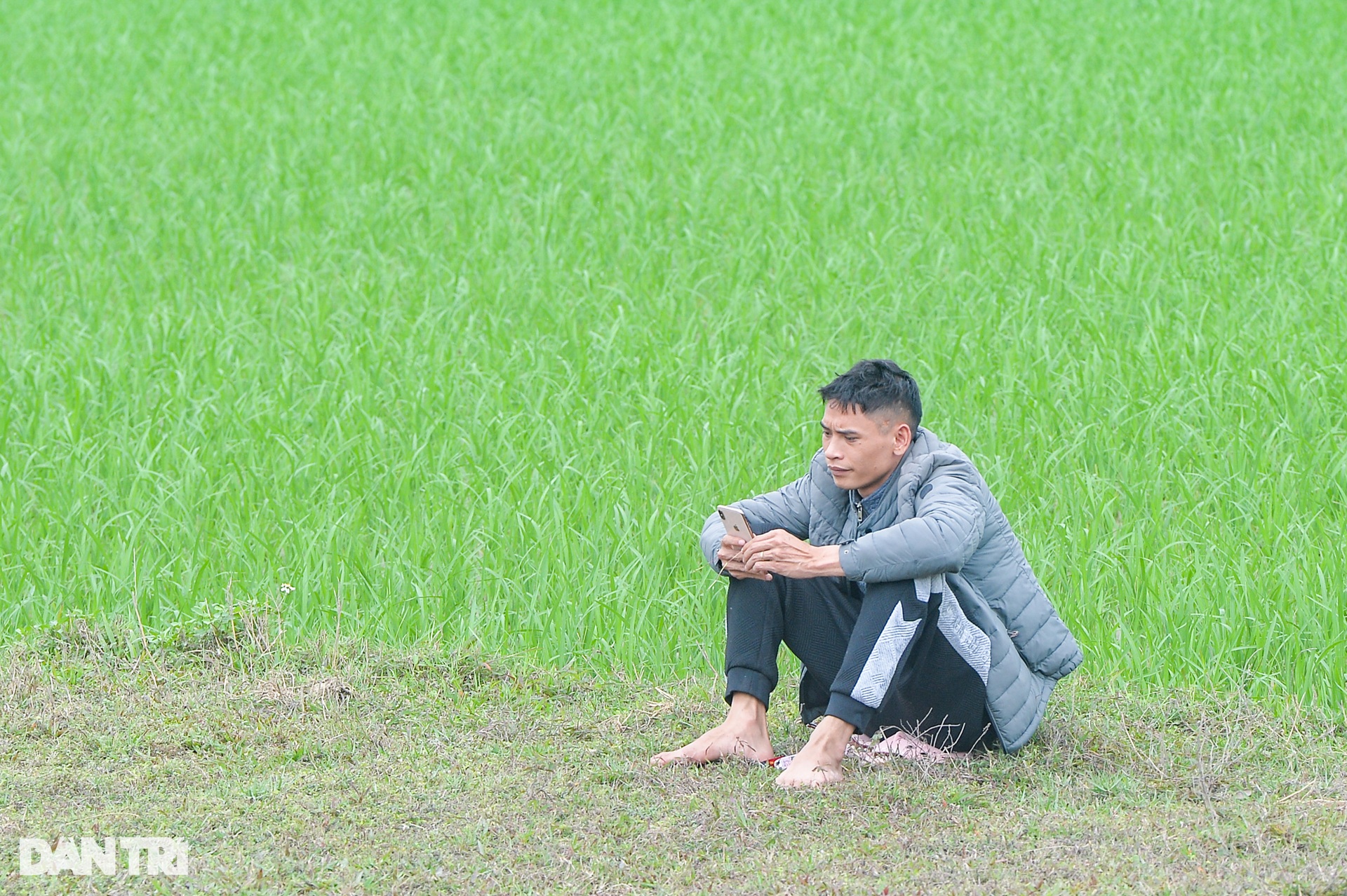 Phó Giám đốc trung tâm đăng kiểm ở Hà Nội: Đi làm mà chân nặng như chì!-6