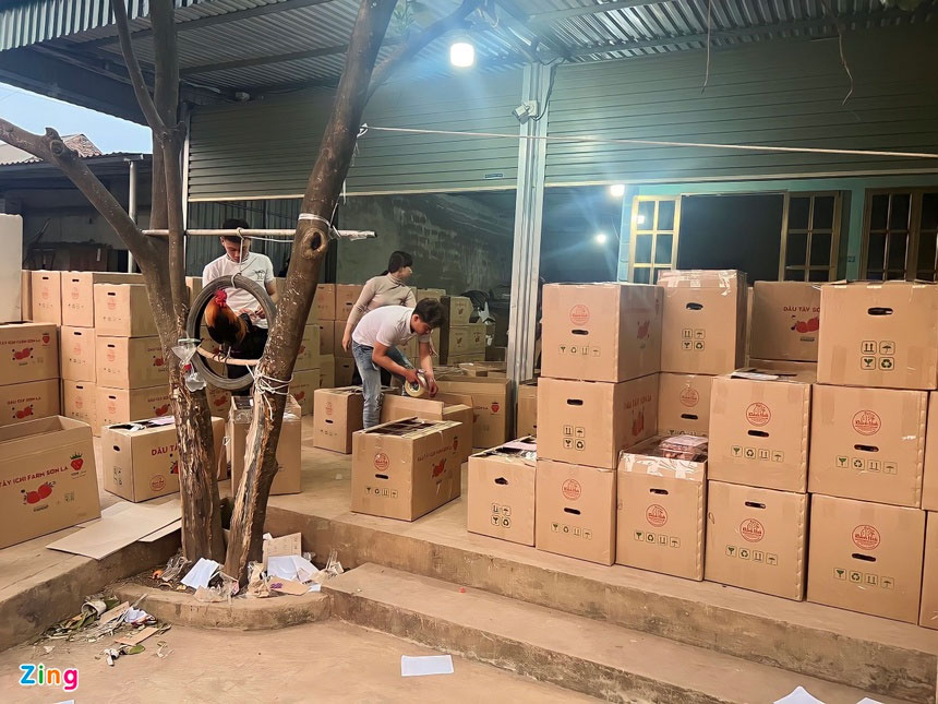 Nông dân khốn đốn vì dâu tây Sơn La bị hiểu nhầm đến từ Trung Quốc-2