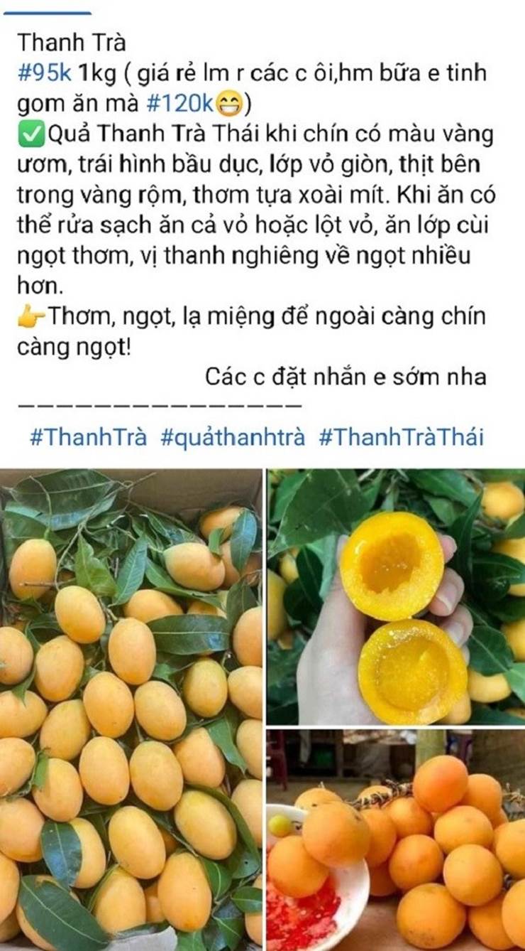 Thanh trà giá rẻ như cho ngập chợ mạng-1