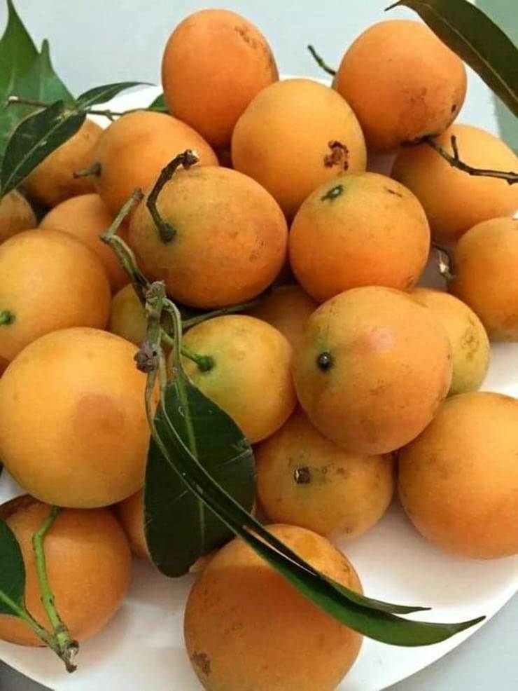 Thanh trà giá rẻ như cho ngập chợ mạng-3