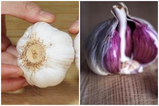 Cùng là tỏi nhưng bên ngoài lại có củ màu tím và củ màu trắng, làm sao để chọn mà không bị mất tiền oan?