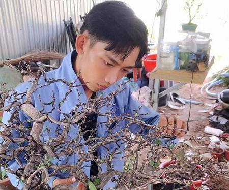 Hô biến hoa dại mọc đầy đường thành bonsai mini, chủ nhân rủng rỉnh tiền tiêu-2