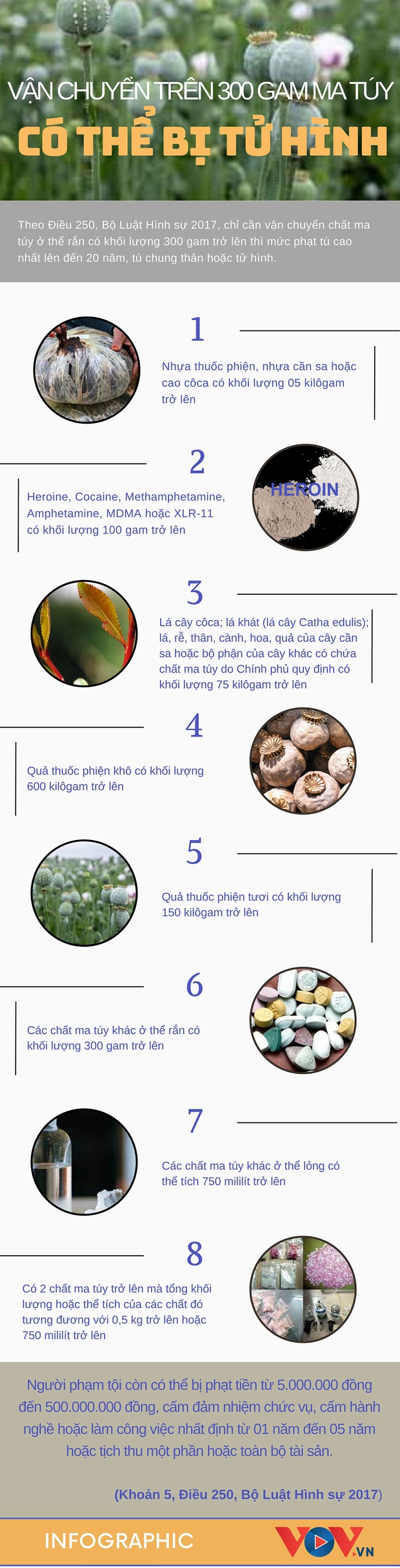 Vận chuyển từ 300 gam ma túy trở lên có thể bị tử hình-1