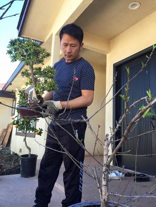 Bên trong khu vườn ngập sắc hoa xuân của Bằng Kiều ở Mỹ-9