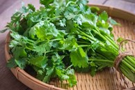 Loại rau gia vị giúp tăng sinh collagen, ở Việt Nam luôn sẵn