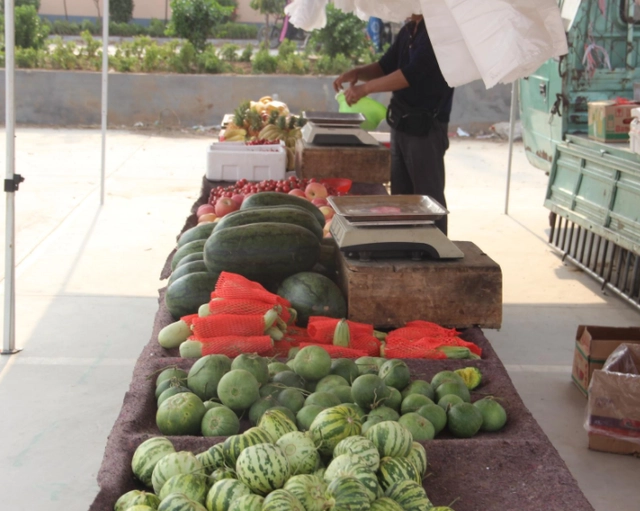 Bi kịch thủ khoa đại học sau 26 năm trở thành ăn xin-2