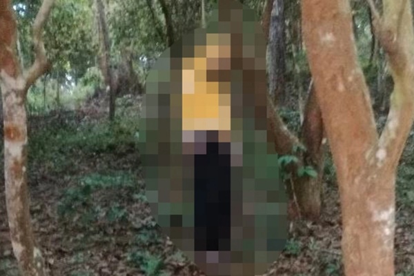Lạng Sơn: Người đàn ông tử vong trong tư thế treo cổ trên cành cây-1