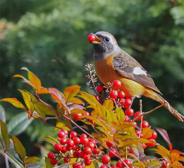 Hết quý 1/2023, 4 con giáp vẫn còn chịu áp lực lớn, cuối năm vực dậy, thành công nở muộn-4