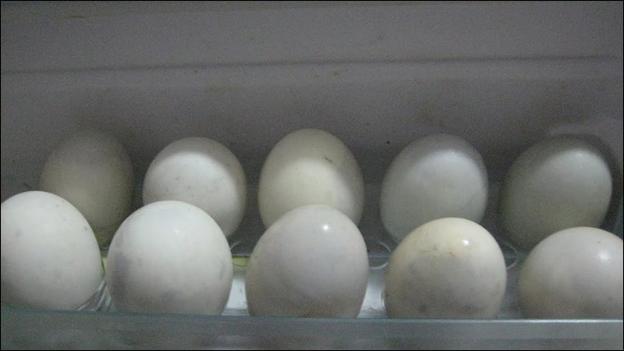 Cách đơn giản chọn mua trứng vịt lộn ngon và bổ dưỡng nhất, tránh mua phải trứng già và ung-9