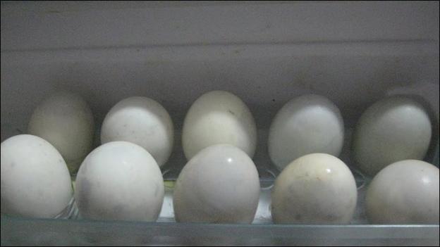 Cách đơn giản chọn mua trứng vịt lộn ngon và bổ dưỡng nhất, tránh mua phải trứng già và ung-6