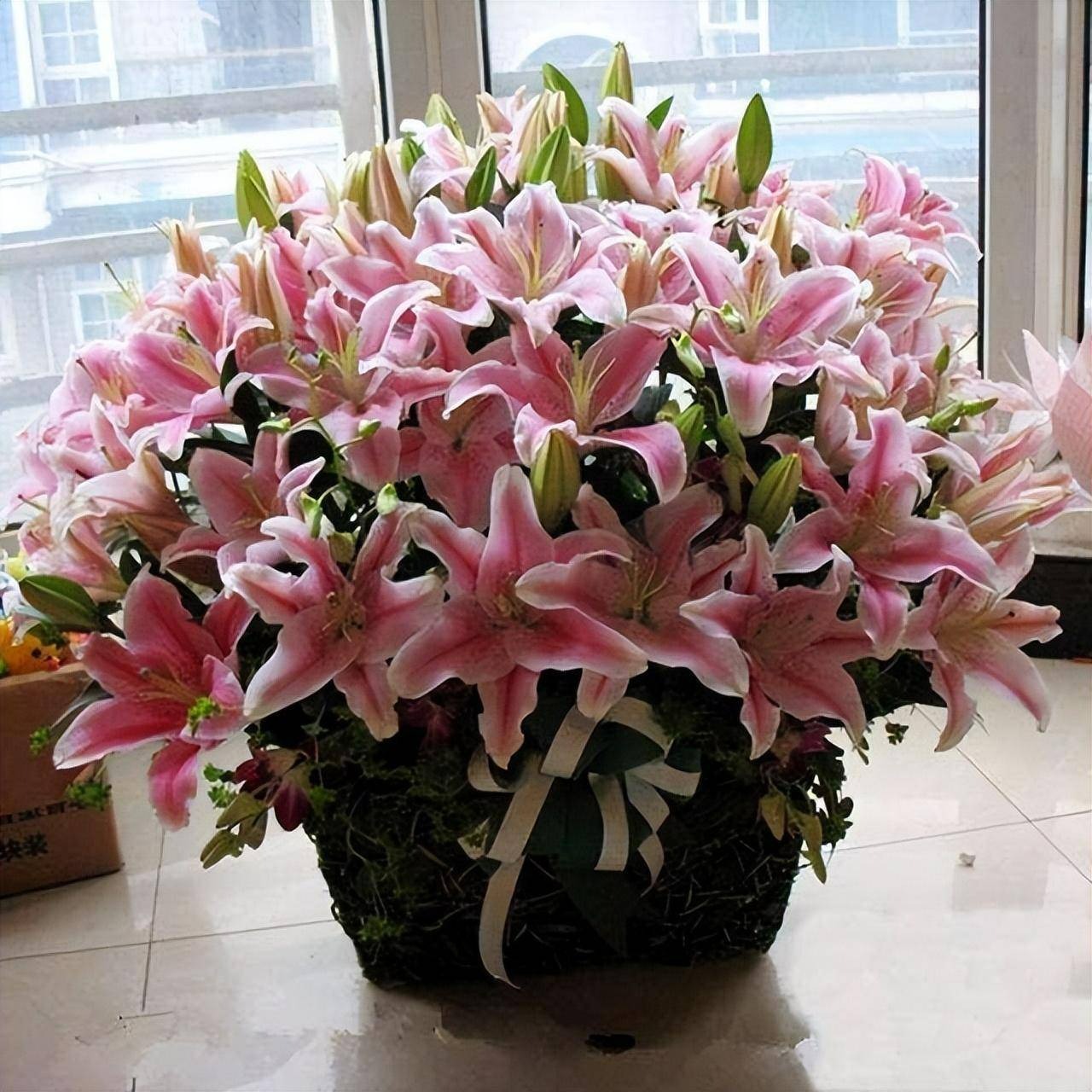 Trong nhà có 7 loại cây cảnh này, hoa tươi người héo, người xưa khuyên không nên trồng-5
