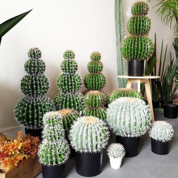 Trong nhà có 7 loại cây cảnh này, hoa tươi người héo, người xưa khuyên không nên trồng-8