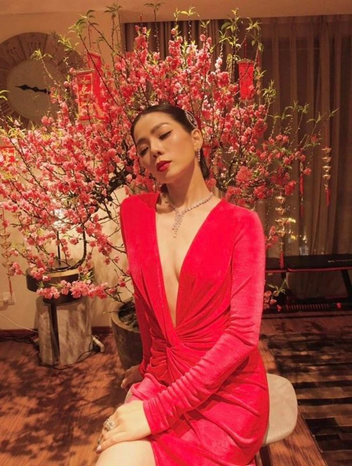 Nhan sắc Lệ Quyên thời chưa nâng mũi và sau 5 năm tháo sụn-9