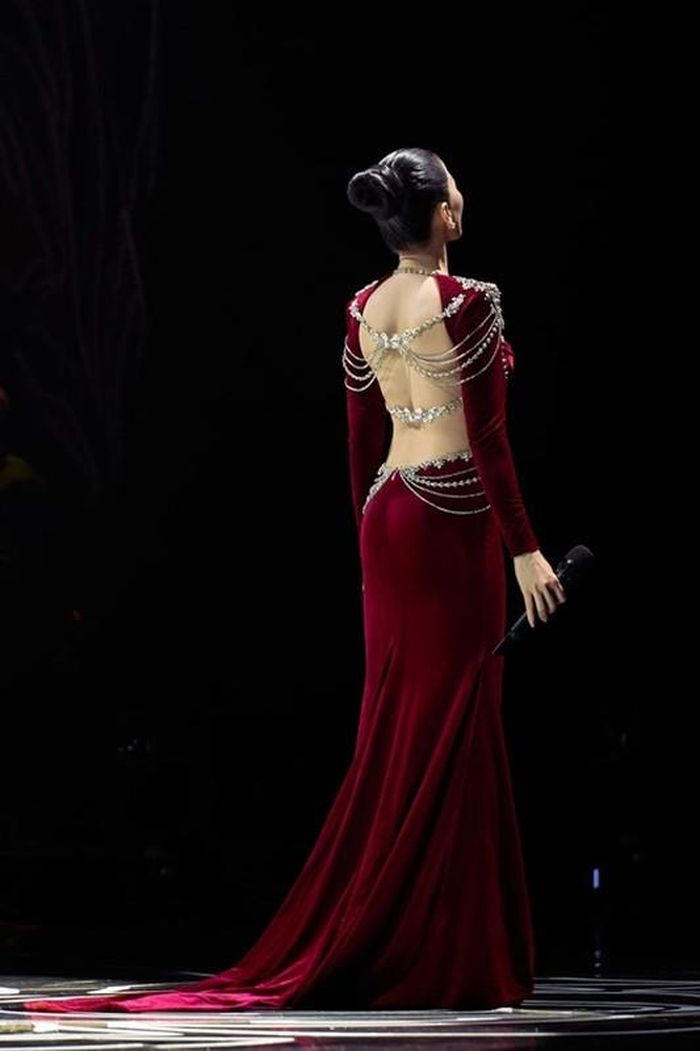 Nhan sắc Lệ Quyên thời chưa nâng mũi và sau 5 năm tháo sụn-11