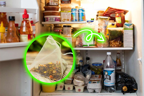 6 lý do khiến cho nhà bạn chẳng thể thơm tho và luôn có mùi mốc-2