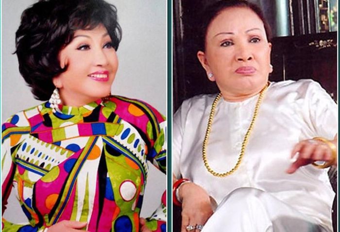 Chân dung nghệ sĩ Hồng Nga kêu cứu vì bị Youtuber quấy nhiễu-4