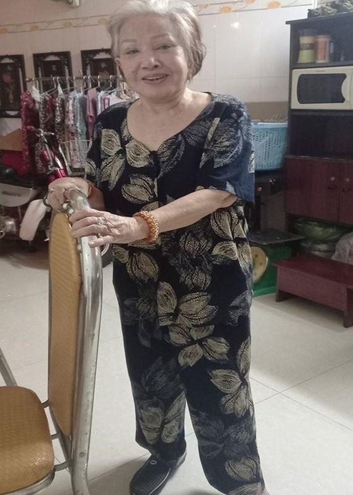 Chân dung nghệ sĩ Hồng Nga kêu cứu vì bị Youtuber quấy nhiễu-2