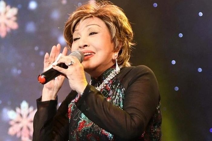 Chân dung nghệ sĩ Hồng Nga kêu cứu vì bị Youtuber quấy nhiễu-1