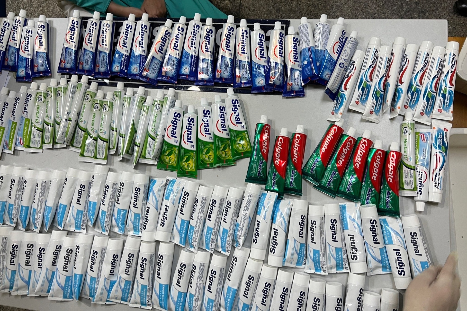 Góc nhìn điều tra viên về vụ tiếp viên Vietnam Airlines mang ma túy-1