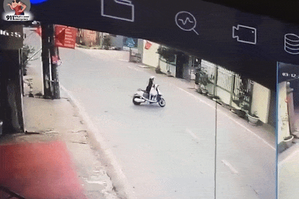 Bị trâu điên rượt đuổi, cô gái vội 