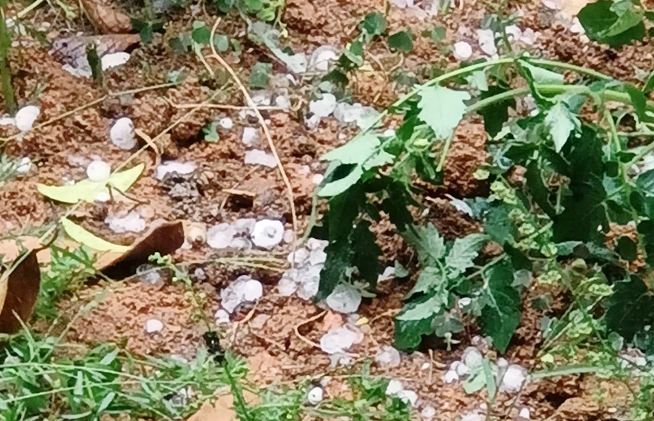 Lốc xoáy kèm mưa đá tiếp diễn ở huyện miền núi Nghệ An-1