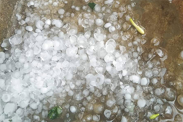 CLIP: Mưa đá lịch sử tại Thừa Thiên - Huế-2