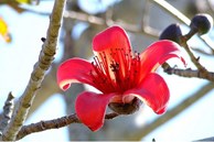 Tử vi ngày 22/3/2023 của 12 cung hoàng đạo: Bọ Cạp ưa thích khám phá, Song Ngư phản ứng thái quá